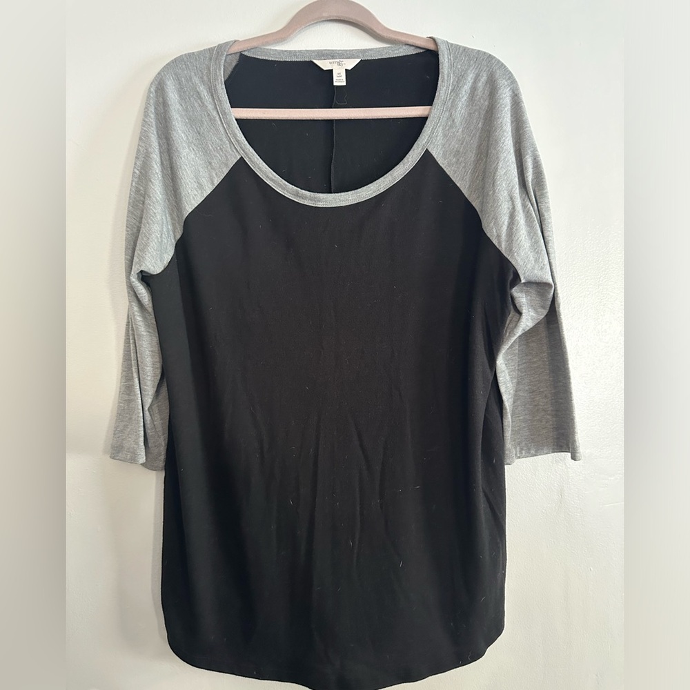 Terra & sky raglan T